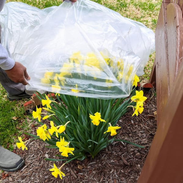 48 in. x 25 ft. 4 Mil Clear Film Sheeting Weatherstrip Adhesive