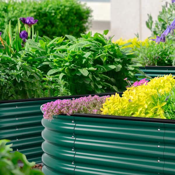 m.gardenです。 Amazon.com: Sunnydaze Galvanized Raised Garden Bed Outdoor