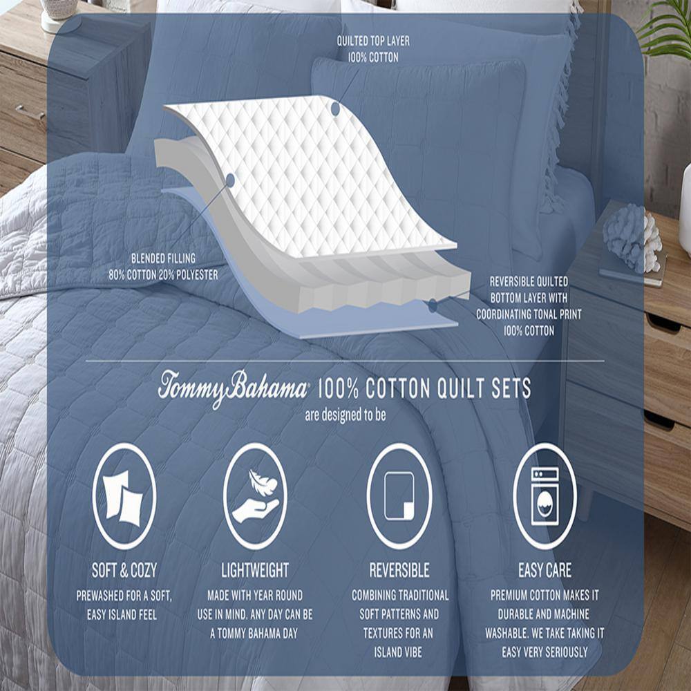 Reversible Gray Cotton Twin Quilt Set with Fern Design