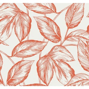 60.75 sq. ft. Rich Coral Beckett Sketched Leaves Nonwoven Paper Unpasted Wallpaper Roll