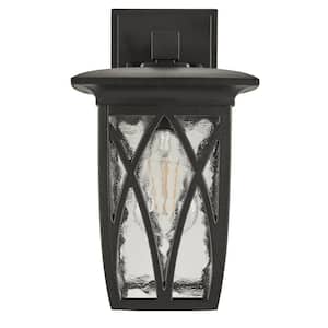 Turin 1-Light Black Hardwired Outdoor Wall Lantern Sconce