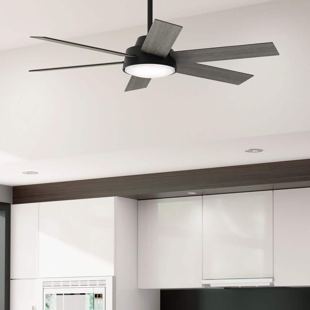 Hunter Donatella 52 in. Integrated LED Indoor Matte Black Ceiling
