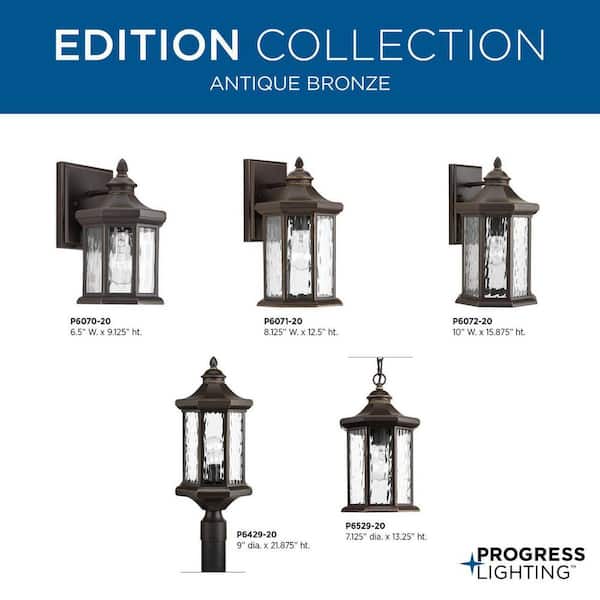 Progress Lighting Edition Collection 1-Light Antique Bronze Water