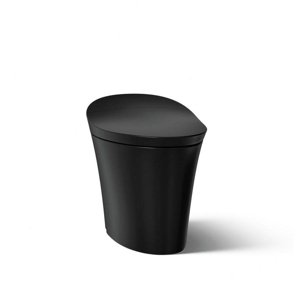 Veil 12 in. Rough In One-Piece 0.8/1.28 GPF Dual Flush Elongated Smart Toilet in Honed Black with BuiltiIn Bidet price history on PriceWatchPro