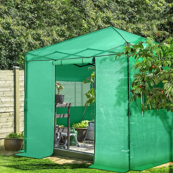 8 ft. W x 8 ft. D Green Portable Walk-In Pop-Up Gardening Greenhouse Canopy