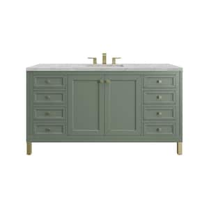 Chicago 60.0 in. W x 23.5 in. D x 34.0 in. H Single Bathroom Vanity Smokey Celadon and Victorian Silver Quartz Top