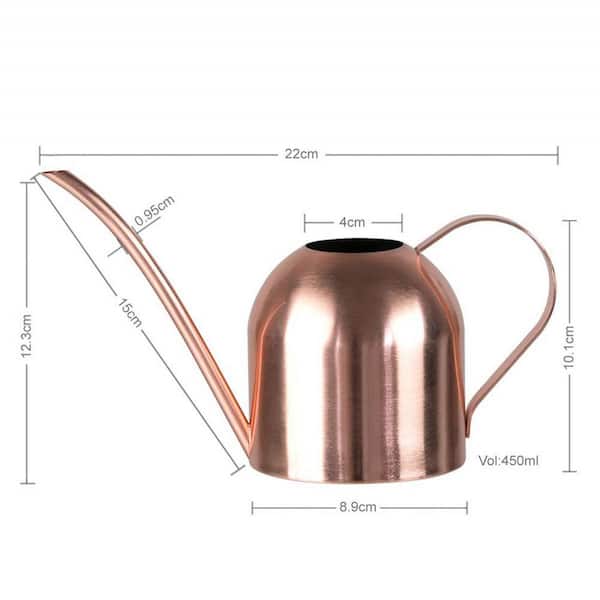 Dyiom 15 oz. Stainless Steel Copper Water Can for Garden
