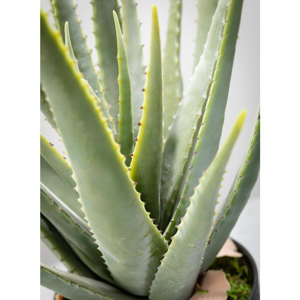 24" Green Plastic Aloe Succulent in Black Pot