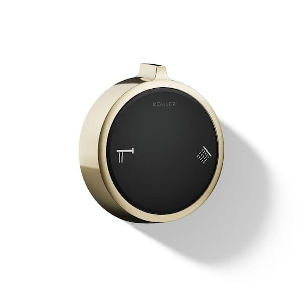 Anthem Duo Shower And Bath Control Kit in Vibrant French Gold