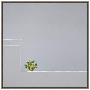 Solo Succulent" by Rolf Endermann 1-Piece Floater Frame Color Nature Photography Wall Art 22 in. x 22 in. .