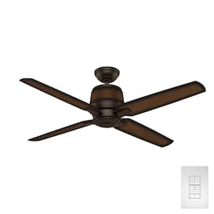 Aris 54 in. Indoor/Outdoor Brushed Cocoa Bronze Ceiling Fan