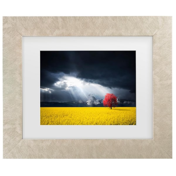 Trademark Fine Art Bess Hamiti a Red Tree in the Canola Meadow Matted Framed Photography Wall Art 19.5 in. x 23.5 in.