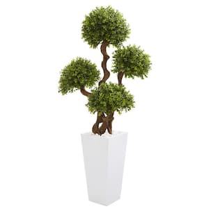 55 In. Four Ball Boxwood Artificial Topiary Tree in Tall White Planter