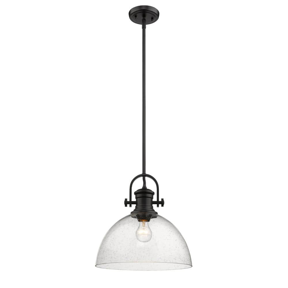 Black Steel and Glass Transitional Indoor/Outdoor Pendant Light