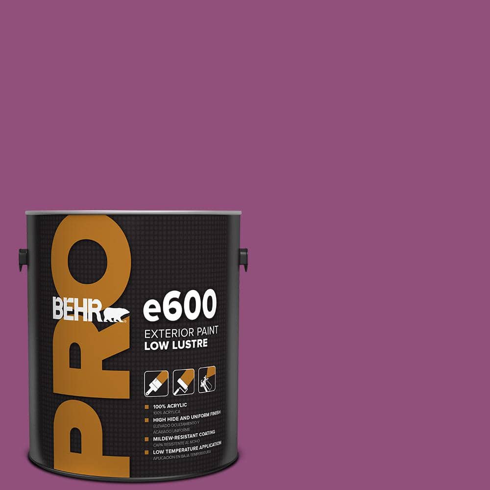 1 gal. #P110-7 XOXO Low Luster Exterior Paint price history on PriceWatchPro