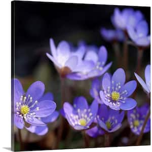 "Purple Flowers" by PhotoINC Studio Canvas Wall Art