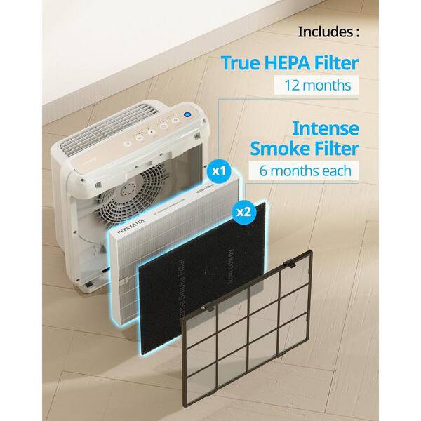 Coway Air Purifier How to Clean Filter: Expert Tips