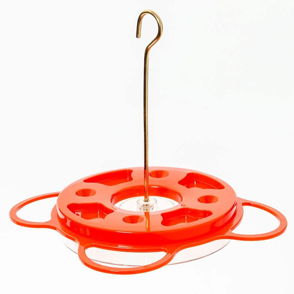 Birds Choice Oriolefest Oriole Bird Feeder for Oranges Jelly and 12 oz. Nectar