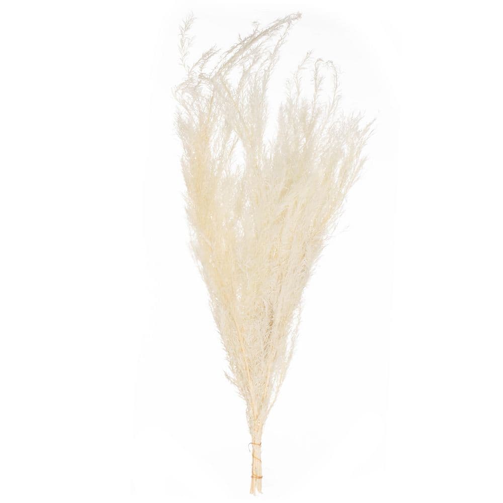 28 in. Real Dried Floral Decorative Bouquet Natural Melaleuca Bracteata Grass Preserved Flowers Vase Fillers, White price history on PriceWatchPro