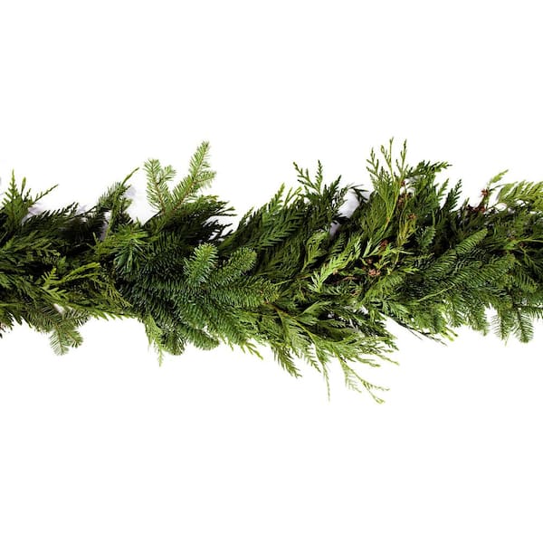 Online Orchards 75 ft. Fresh Cut Mixed Garland with Fragrant Red Cedar and Douglas Fir Cuttings