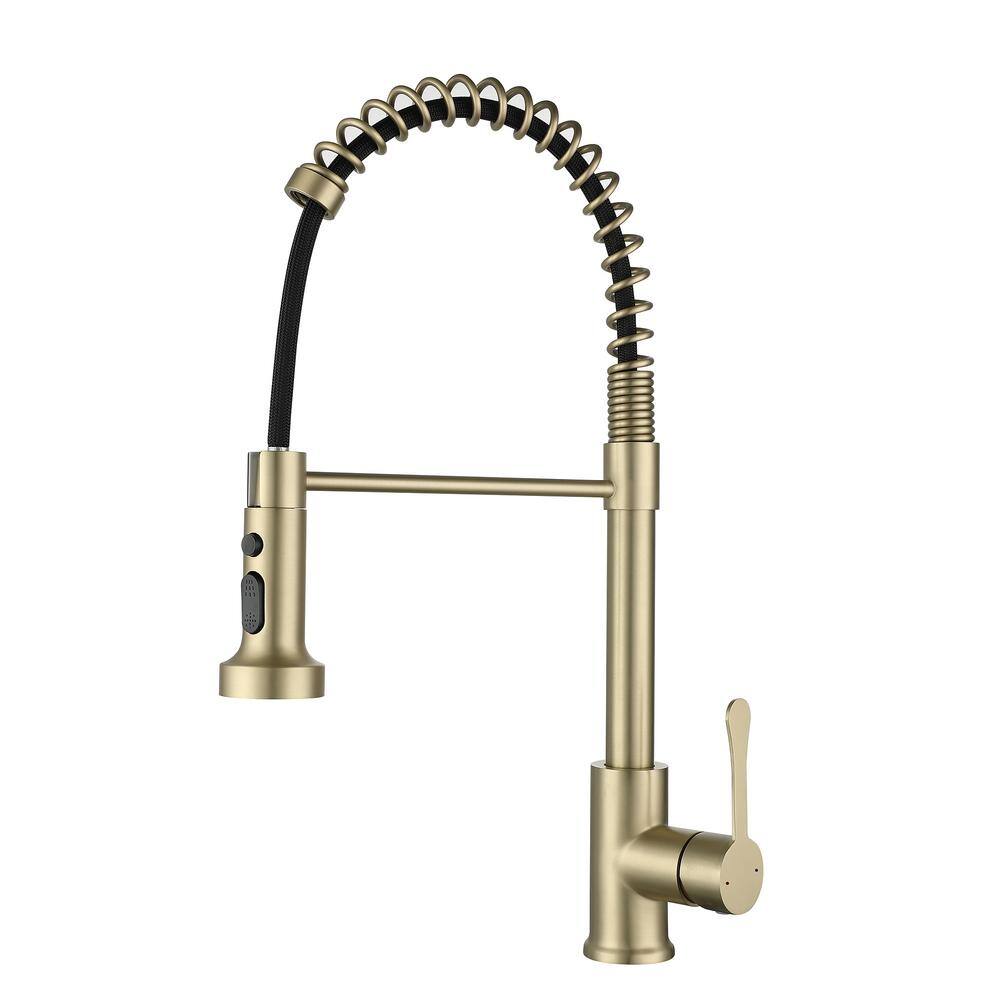 Single Handle Pull Down Sprayer Kitchen Faucet with in Brushed Gold Reflex/Power Clean and Fast Mount Spring Faucet