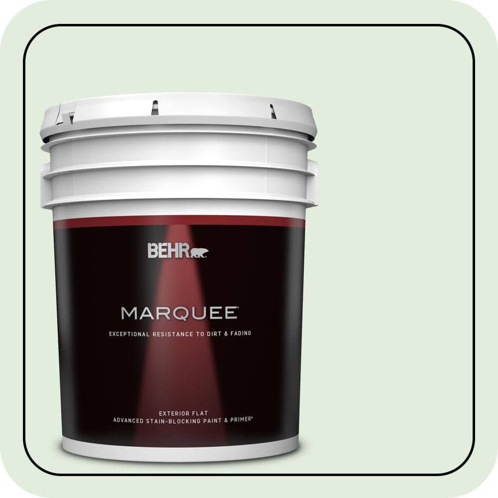 5 gal. #M400-1 Establish Mint Flat Exterior Paint & Primer price history on PriceWatchPro