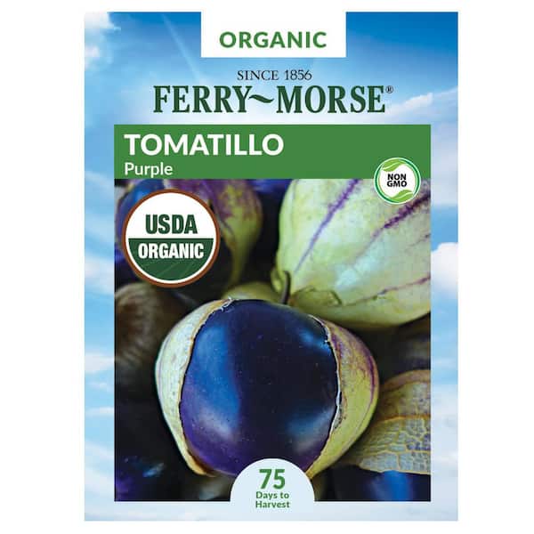 Organic Tomatillo Purple Fruit Seed