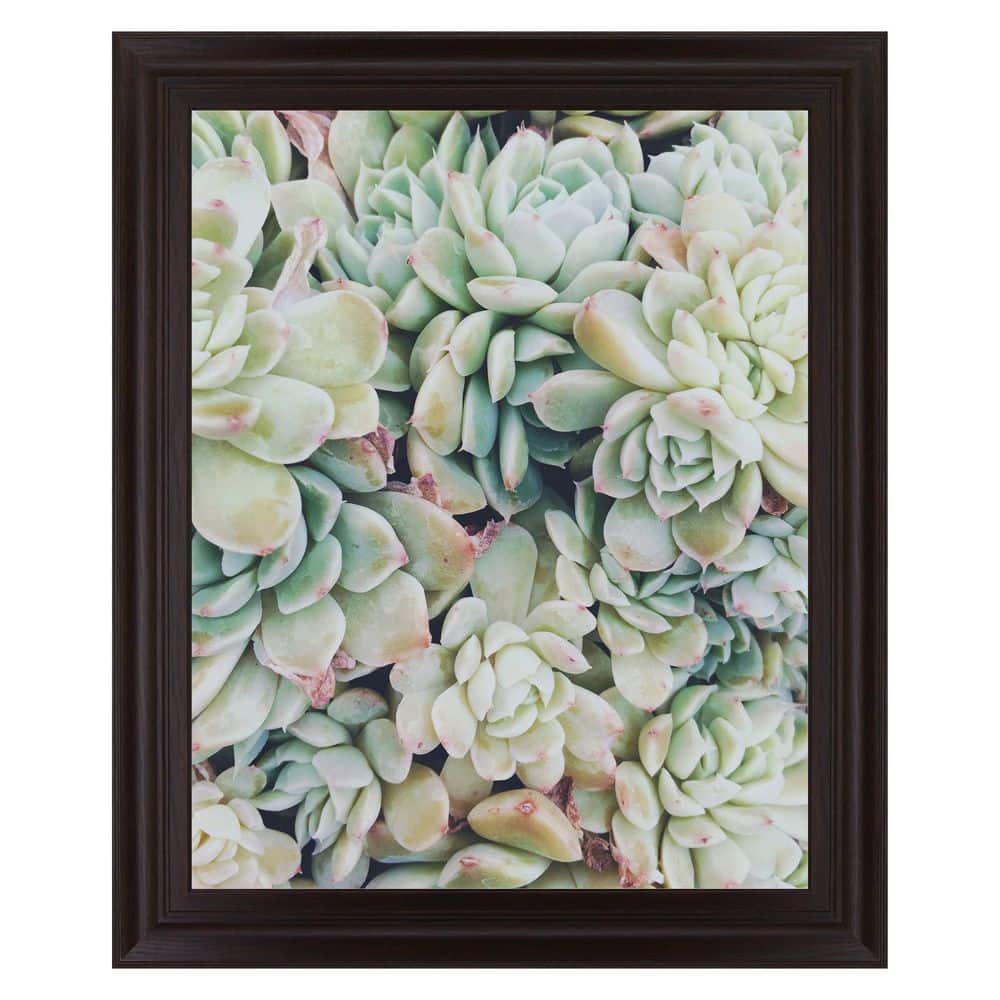 1 Piece Framed Graphic Print Nature Art Print 34 in. x 28 in. price history on PriceWatchPro