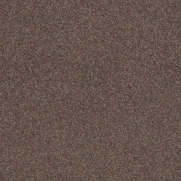 Coral Reef I - Log Cabin - Brown 65.5 oz. Nylon Texture Installed Carpet