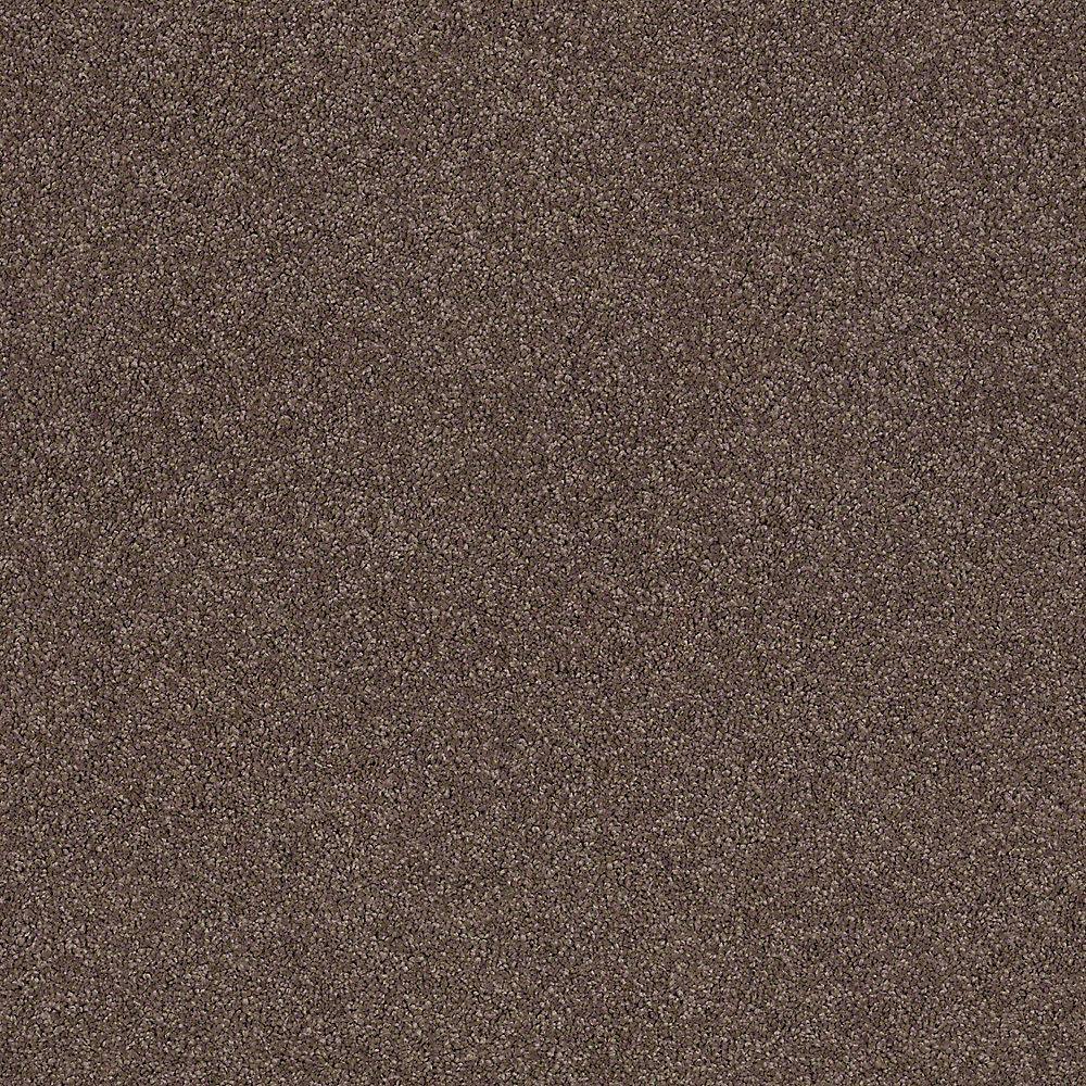 Lifeproof Coral Reef II Color Log Cabin Indoor Texture Brown Carpet