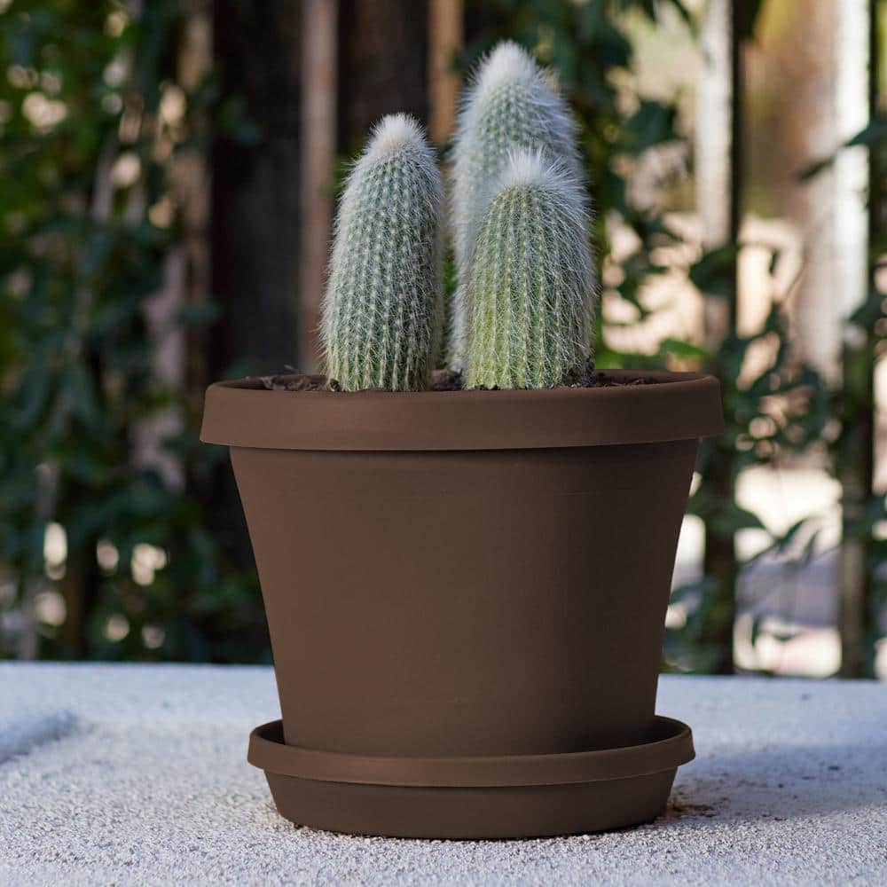 Terra Cotta Inspired 12" Resin Planter - Chocolate Finish