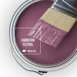 Home Decorators Collection HDC-AC-28A Carnation Festival Paint
