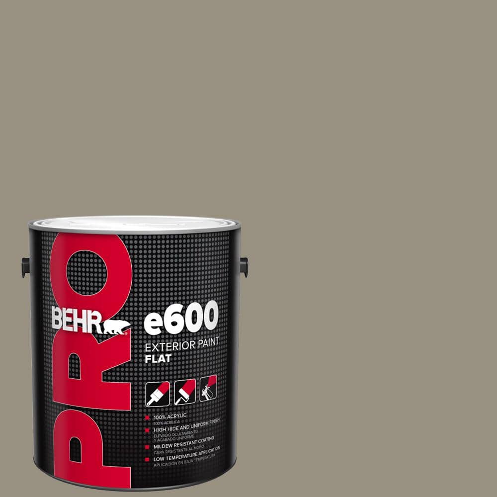 1 gal. #N320-5 Gray Squirrel Flat Exterior Paint price history on PriceWatchPro
