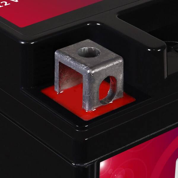 未開封CD　BattieBattie　うしっ! MIGHTY MAX BATTERY YTX16-BS 12V 14AH GEL Battery for Suzuki