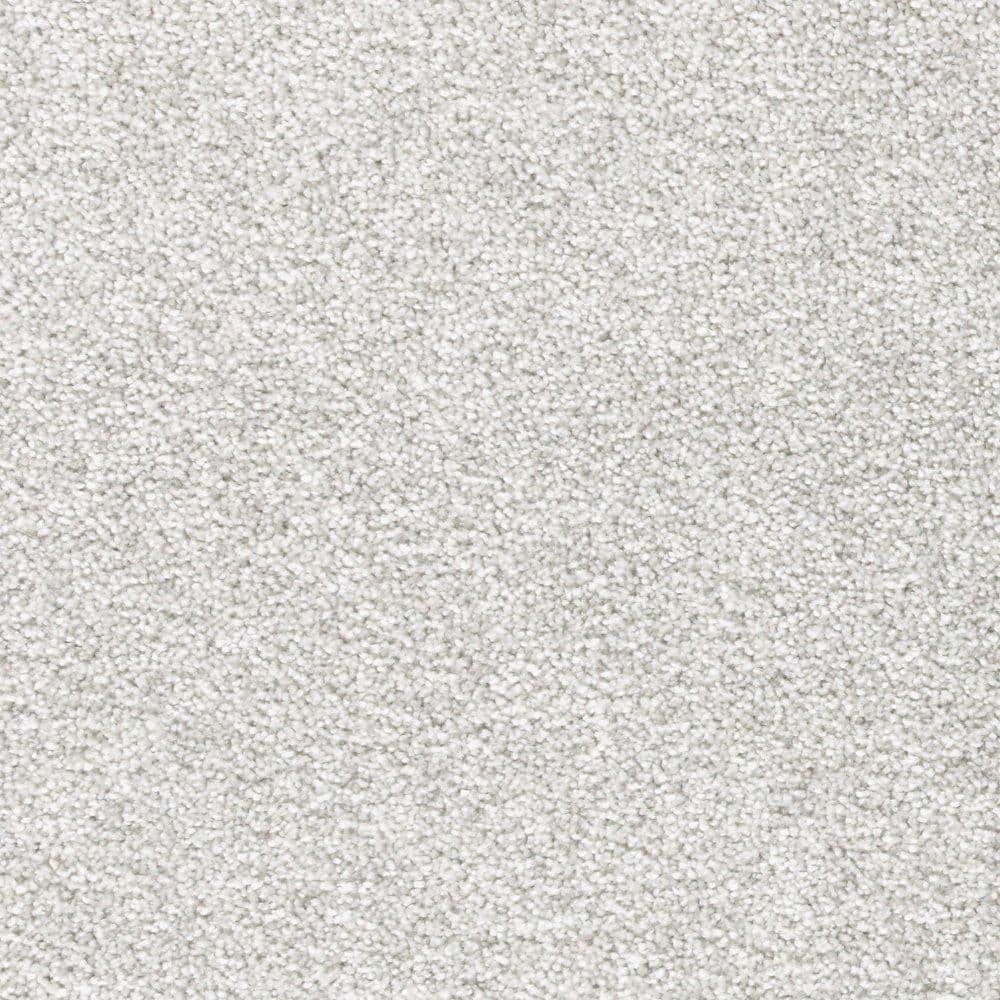 Lifeproof with Petproof Technology 8 in. x 8 in. Texture Carpet Sample -  Silver Mane I -Color Pebblestone MO-389258 - The Home Depot
