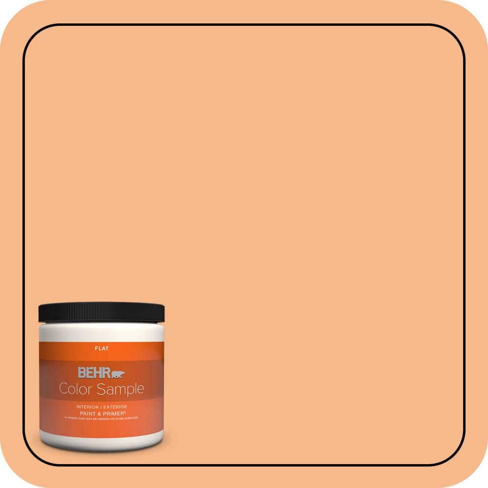 8 oz. #260C-3 Fresh Peaches Flat Interior/Exterior Paint & Primer Color Sample price history on PriceWatchPro