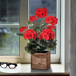 16 .5 in. Red Artificial Geranium in Box