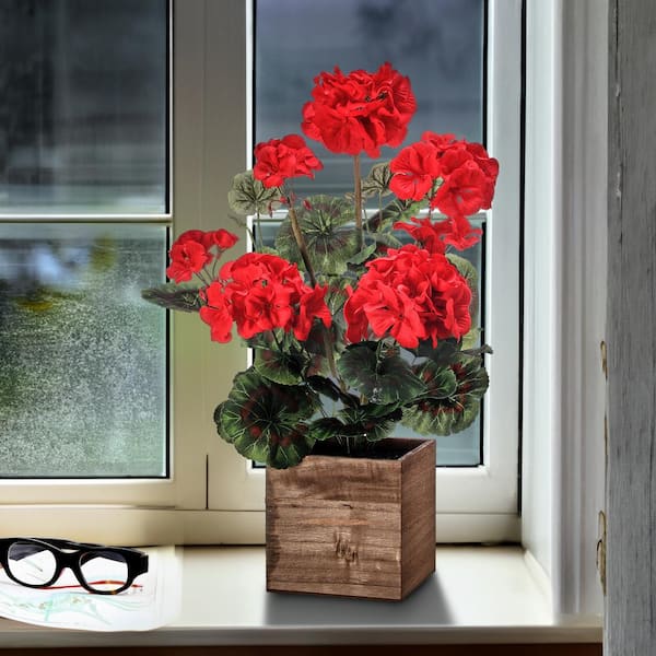 Regency International 16 .5 in. Red Artificial Geranium in Box