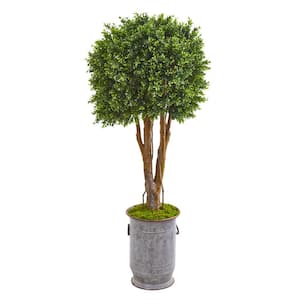 Indoor/Outdoor 55 In. Boxwood Artificial Topiary Tree in Planter UV Resistant