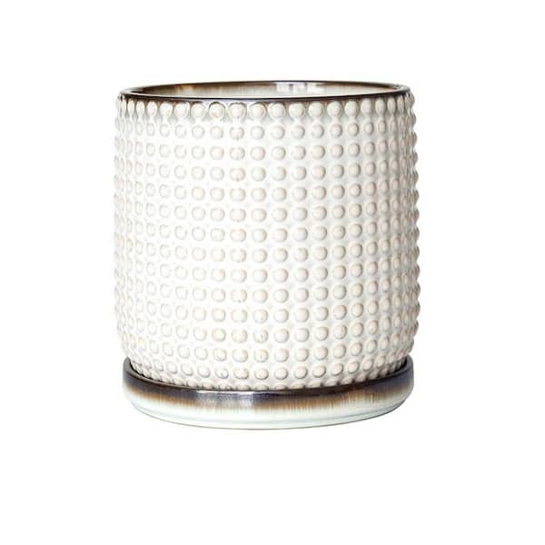 Large White Ceramic Indoor/Outdoor Planter with Tray (5.8 in. W x 6.5 in. H)