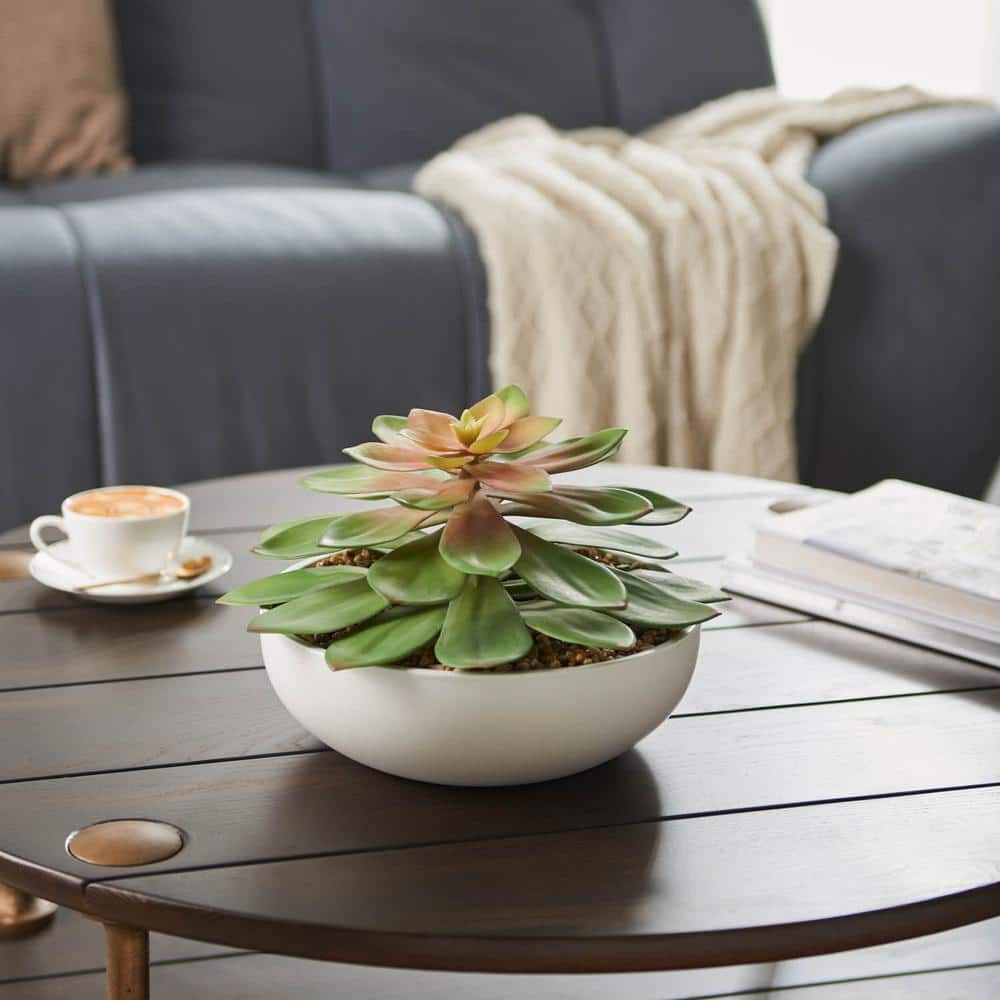 Large Artificial Echeveria Succulent in Ceramic Bowl