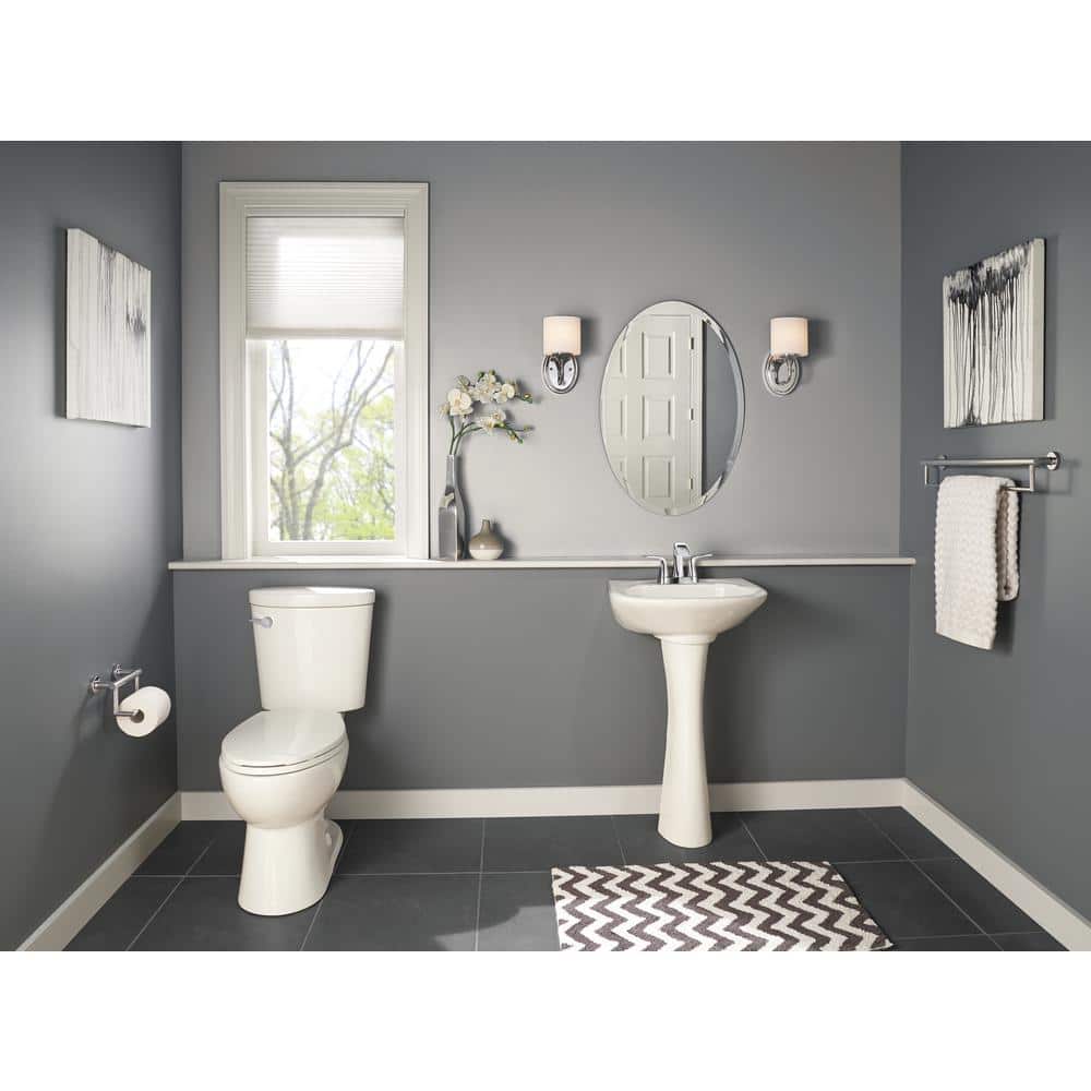 Chrome Wall Mounted Toilet Paper Holder with Assist Bar