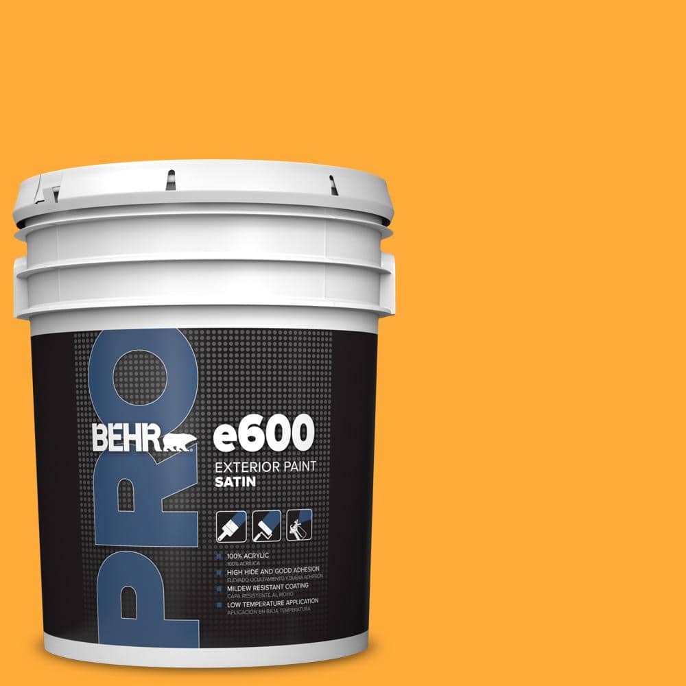 5 gal. #S-G-310 Peach Butter Satin Exterior Paint price history on PriceWatchPro
