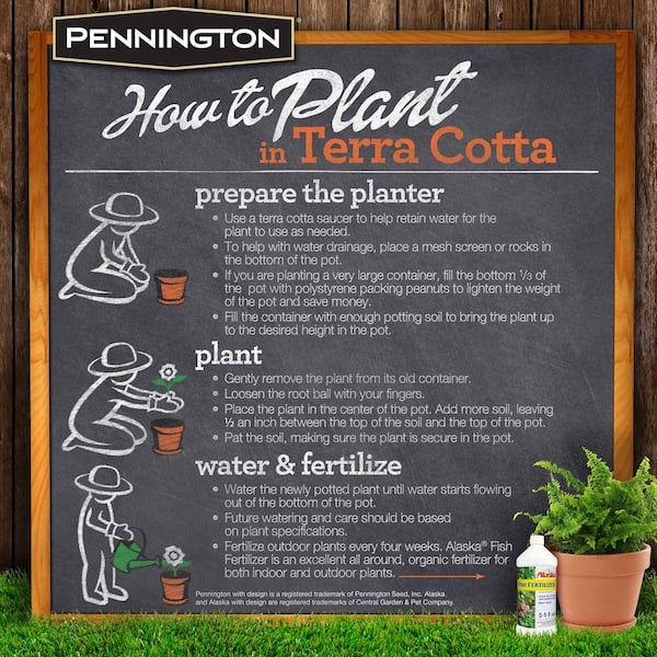 Pennington - 8 in. Medium Terra Cotta Clay Pot