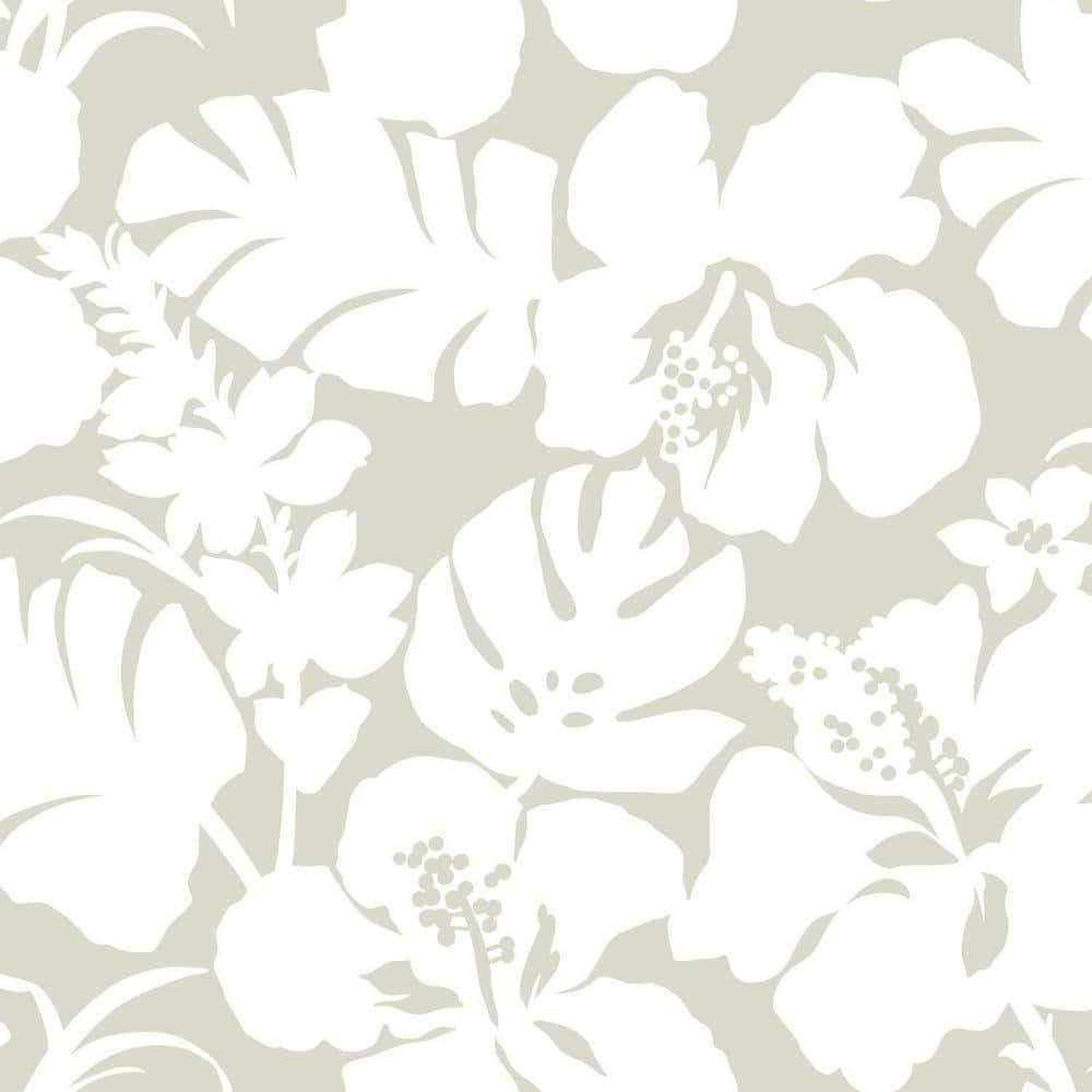 Blooming White Hibiscus Flowers on Sage Wrapping Paper Sheets