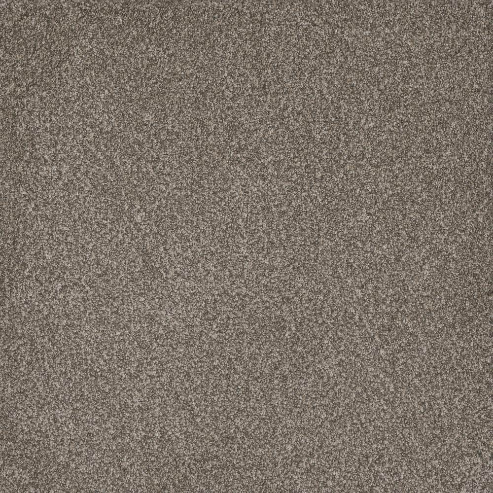 8 in. x 8 in. Texture Carpet Sample - Serene Glory II - Color Restful price history on PriceWatchPro