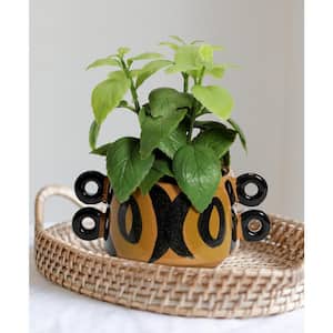 Hand Painted Stoneware Planter with Handles, Brown and Black