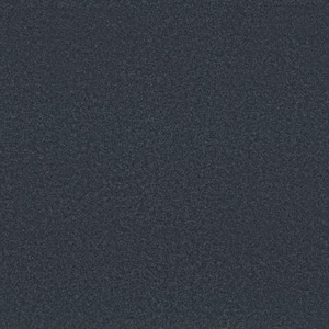 Park Royal - Color Navy Blazer Blue 52 oz. Nylon Texture Installed Carpet