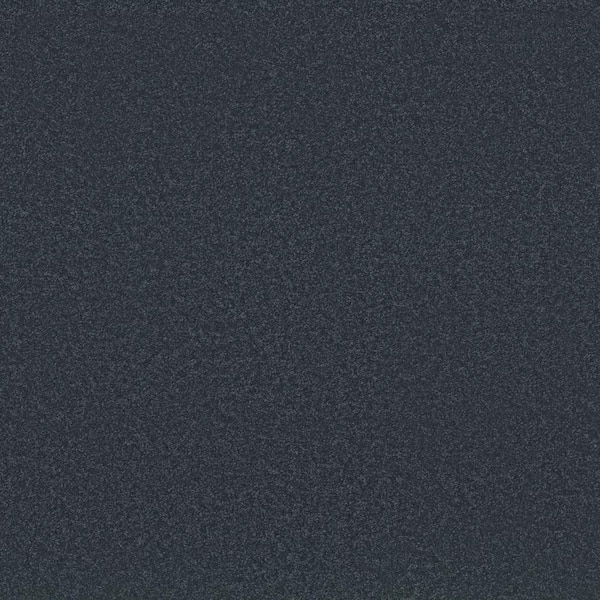 Lifeproof Park Royal - Color Navy Blazer Blue 52 oz. Nylon Texture Installed Carpet