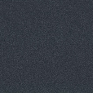 Park Royal-Color Navy Blazer Blue 52 oz. Nylon Texture Installed Carpet